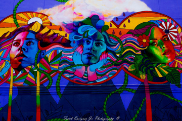 Some Downtown Tucson Murals  6/16