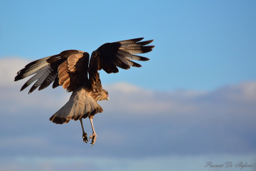 Vertical take off
