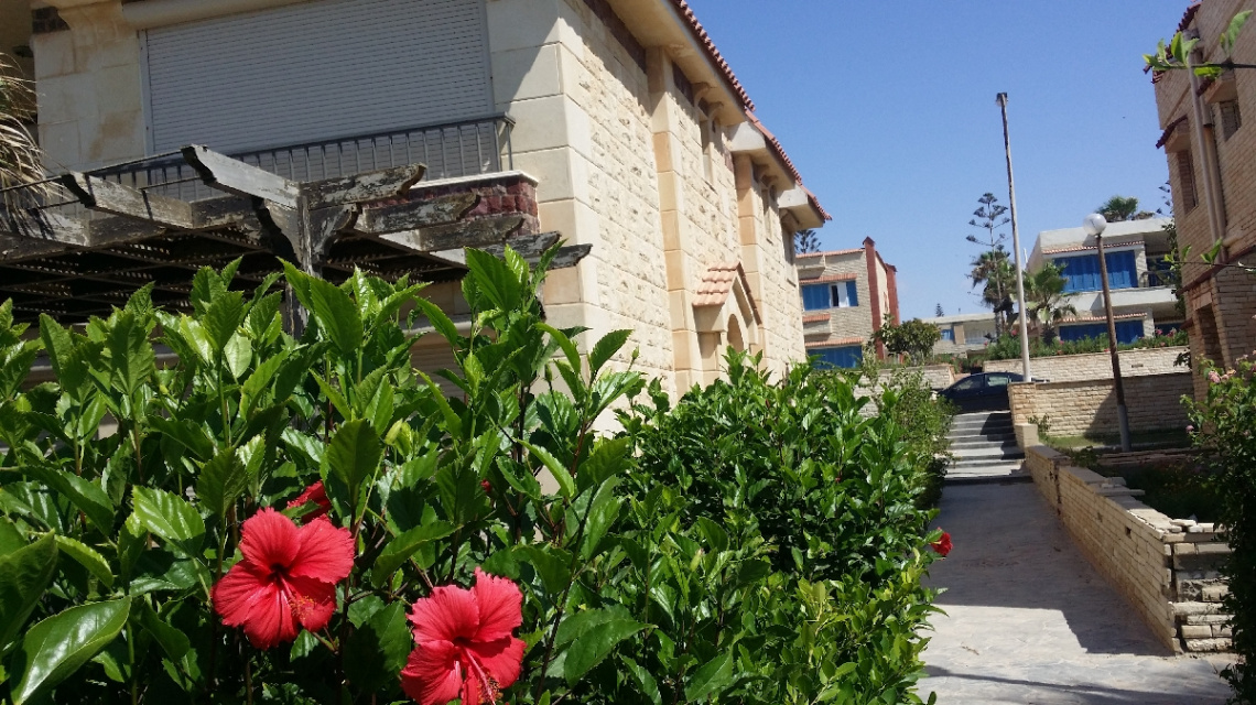 Egypt - North coast - Maraqya