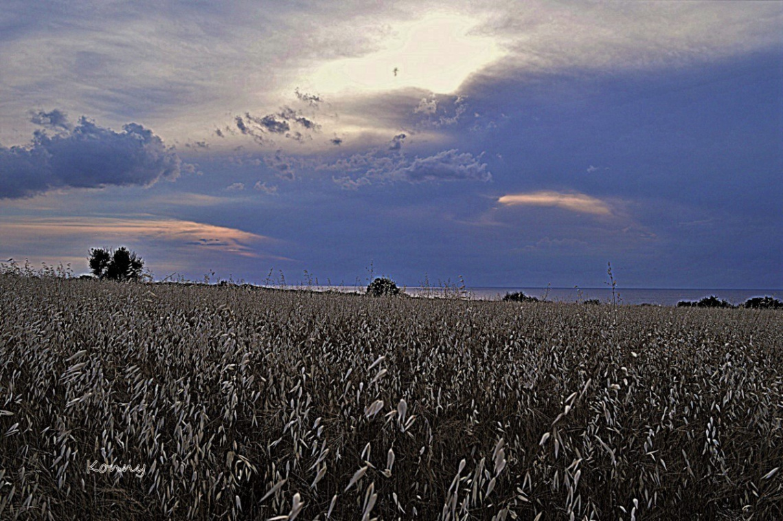 only clouds .. no rain.. :(