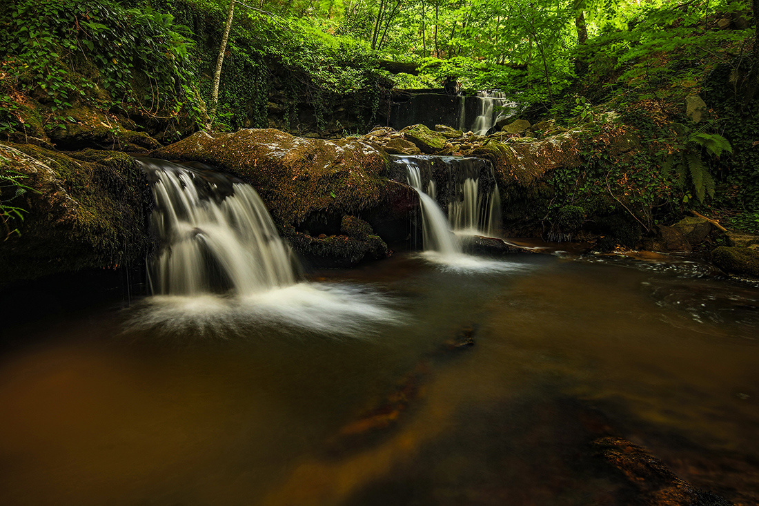 Yatık Ağaçlı Şelale ve Altı
