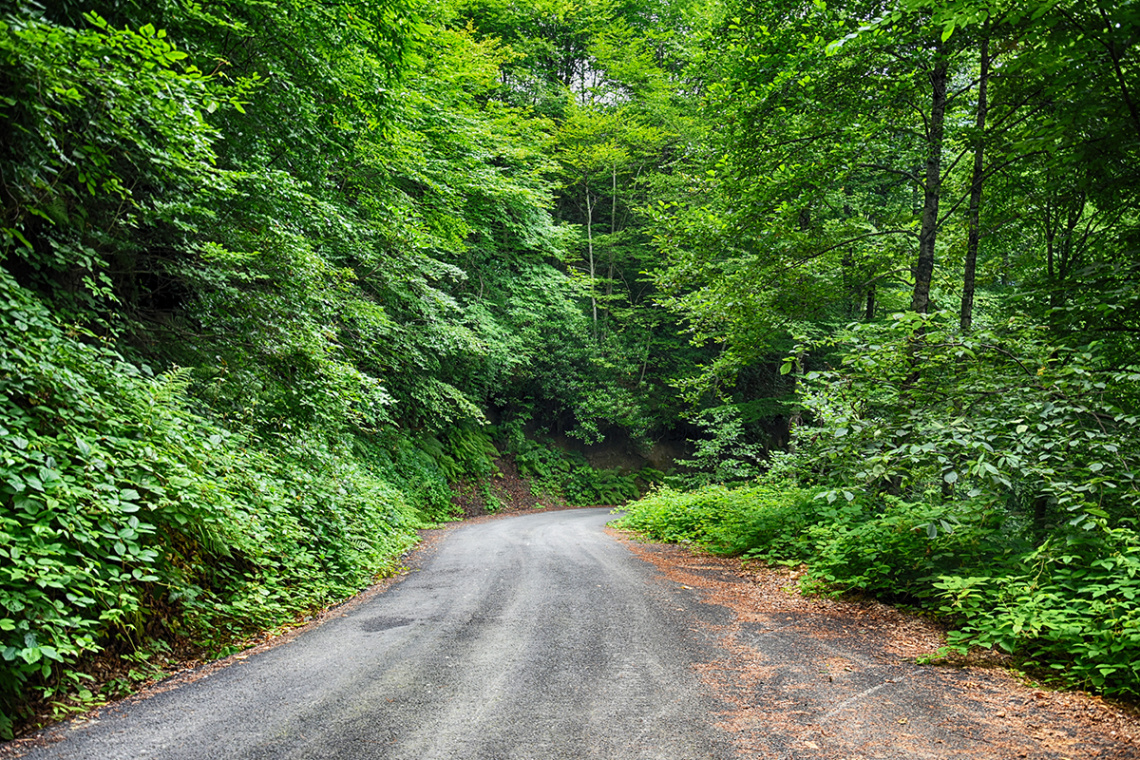 Karadeniz
