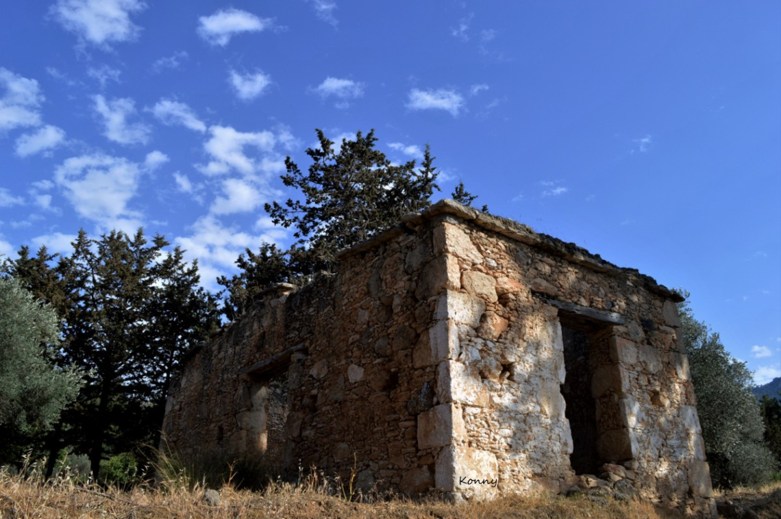 old house 