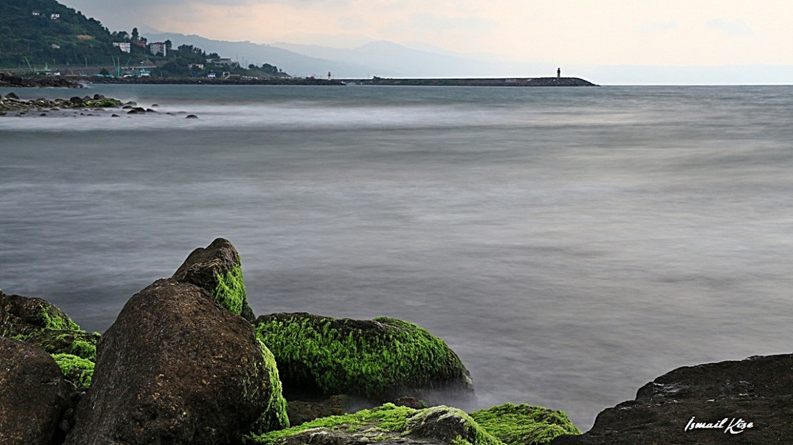 Karadeniz'in Kıyıcığından