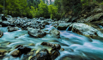 Doğa