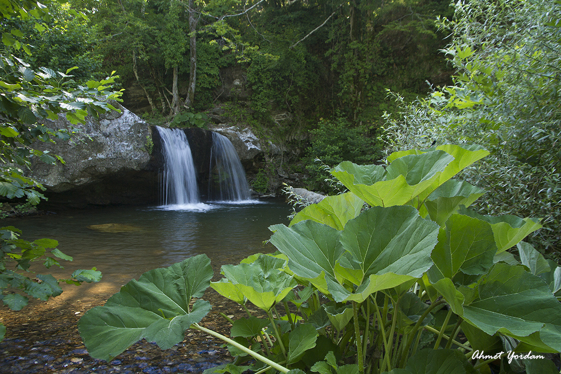 Paşalar Şelaleleri