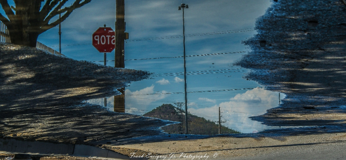 Arizona Monsoon Puddle