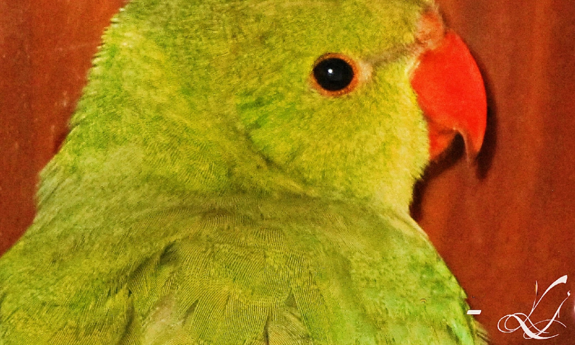Resting