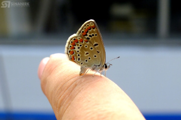 DOĞA