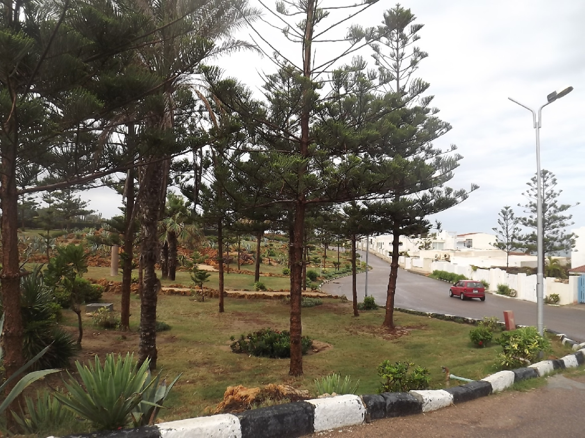 Egypt - alexandria - Almontazah