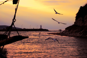 Ağva & Deniz Feneri