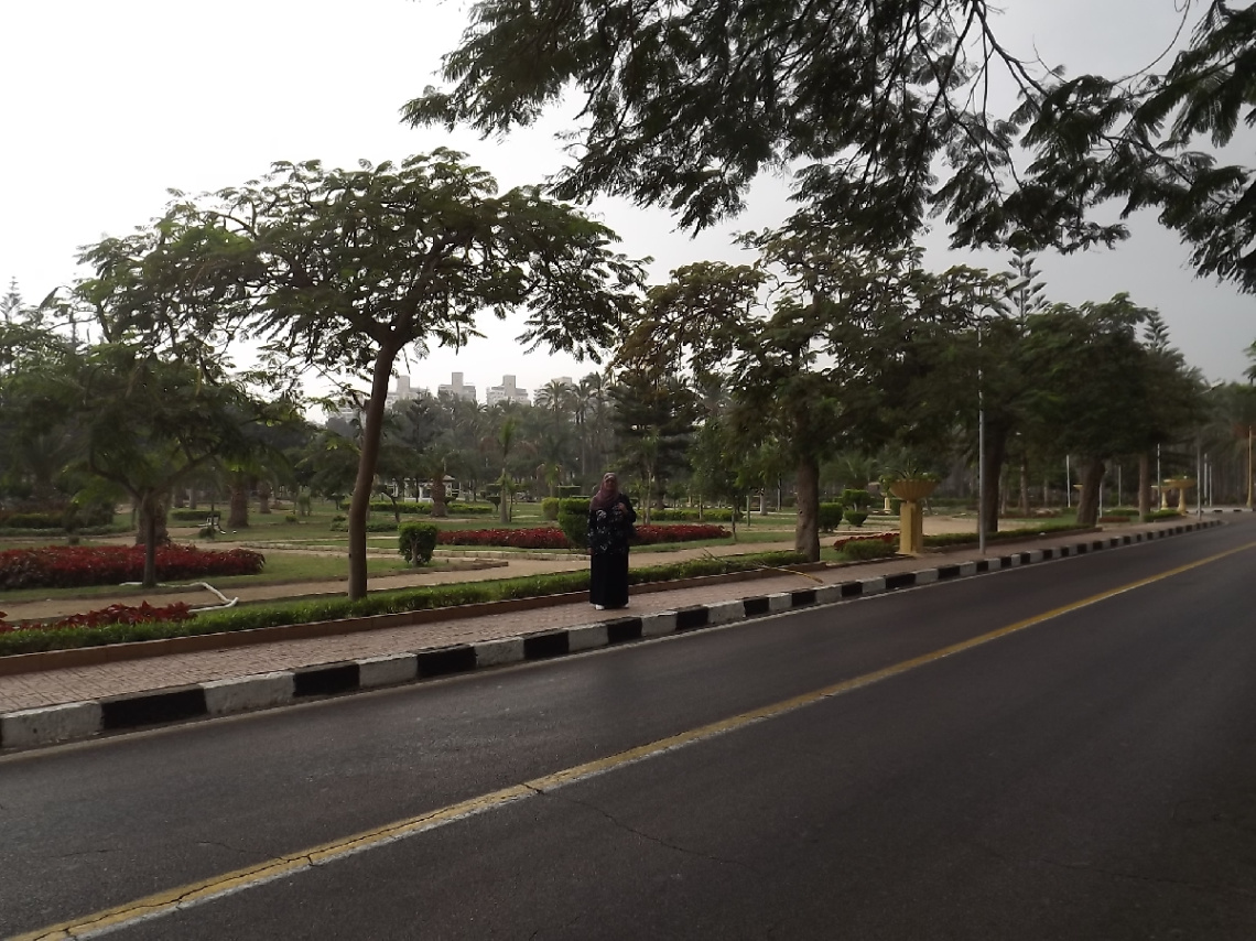 Egypt - alexandria - Almontazah