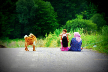 Hayatın İçinden...