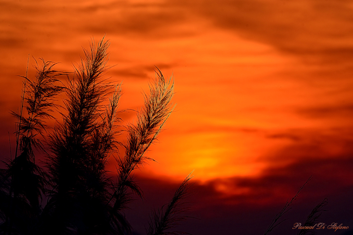 Sunset fire