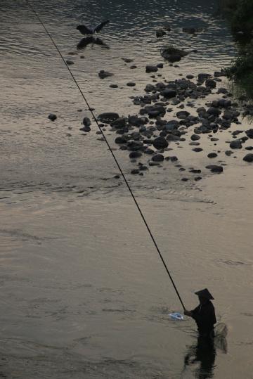 angler and bird