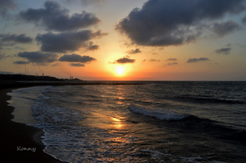 the turtle beach .. Cyprus