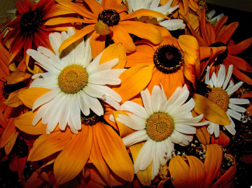 blumenstrauss...