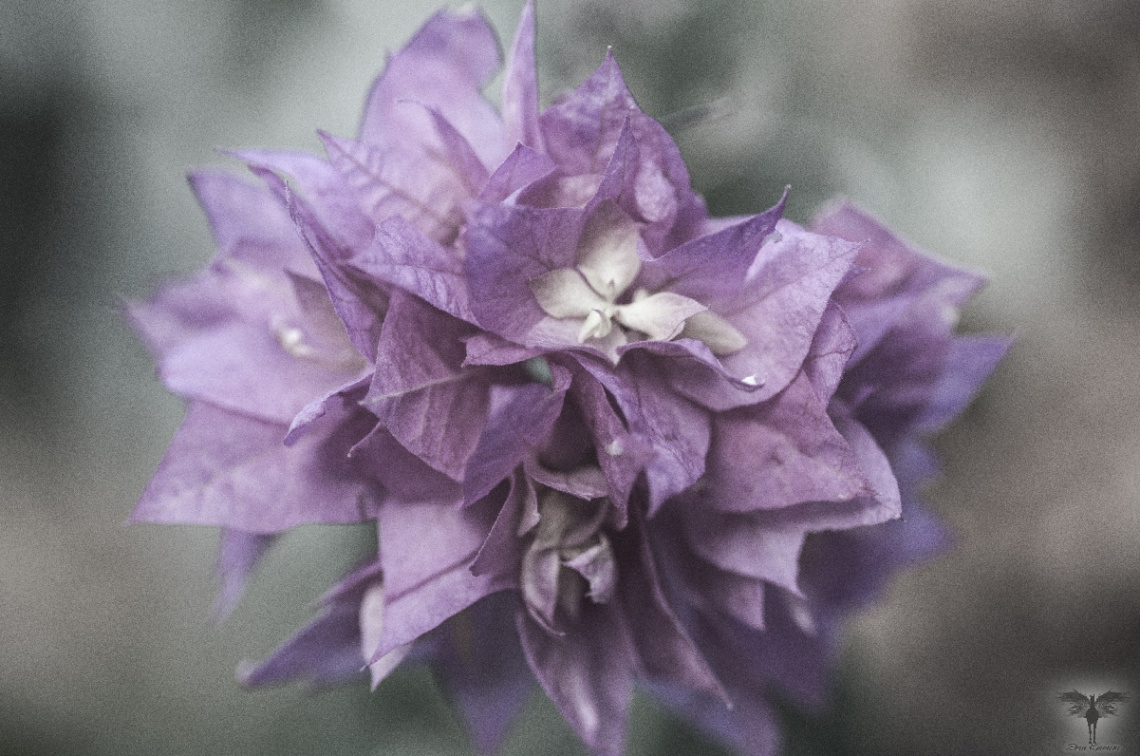 Dünyada  Görüp Görmediklerinizle Dolu.