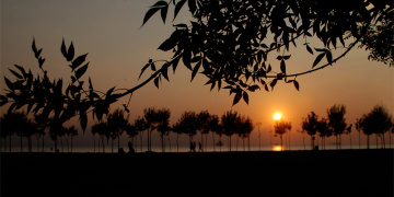 İzmit Körfezi & Günbatımı 