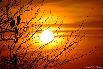 Fire in the evening