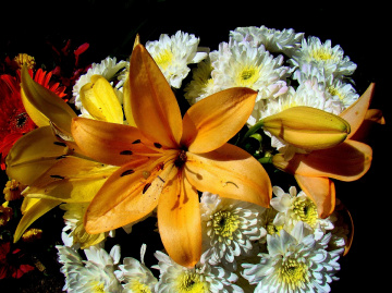 blumenstrauss,