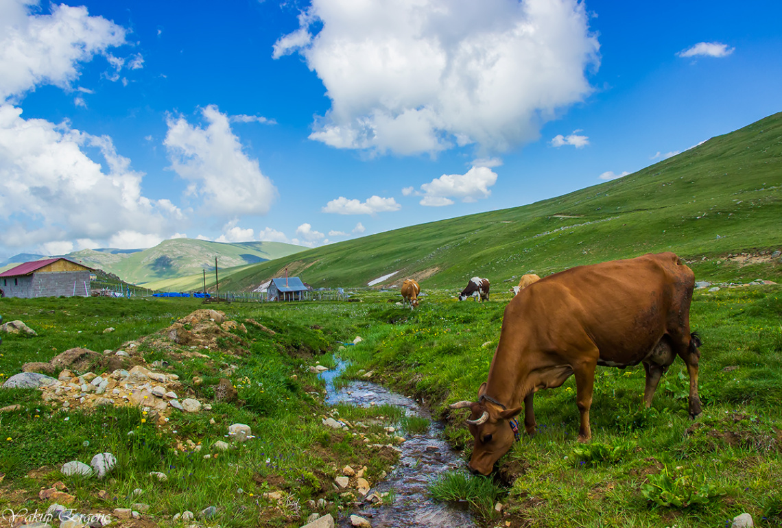 YAYLA HAVASI