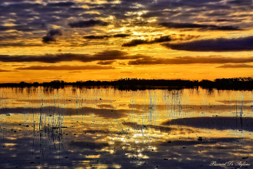 Over the water