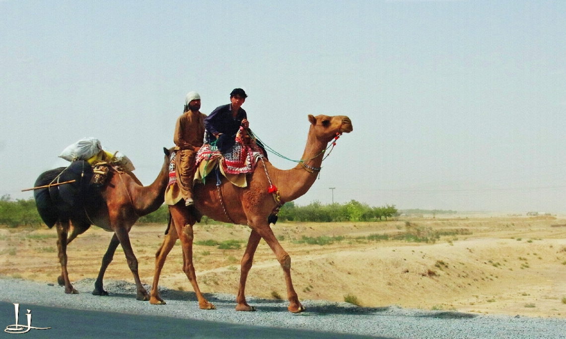 Travel.....