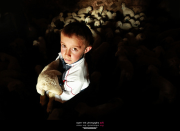 ... ::: Kurbana Doğru ::: ... 