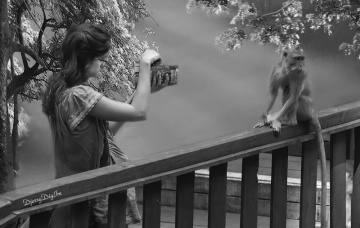 Photographer
