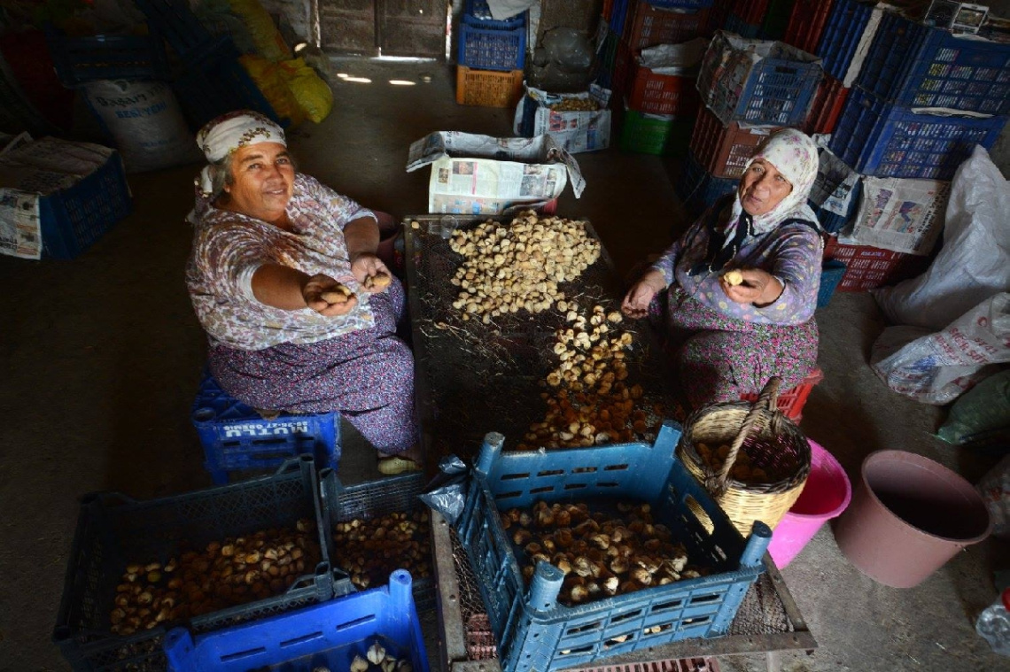 barış huzur.dolu bayramlar.