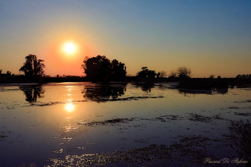 Sunset mirror