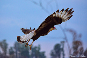 Taking off III