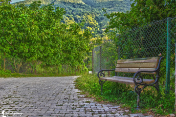Yeşil Yol