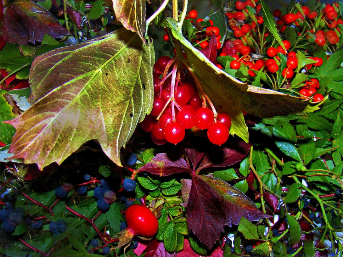herbst.