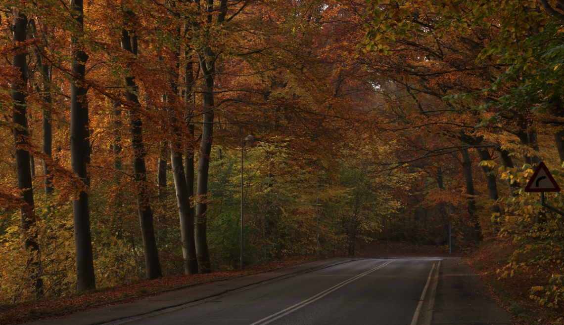Time for Autumn