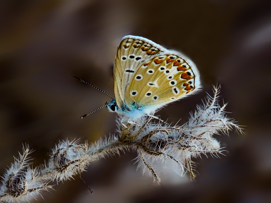 18 eylülden
