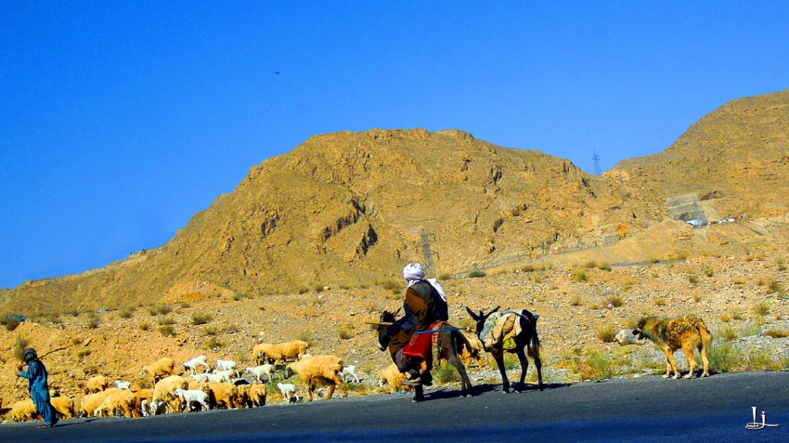 Balochistani Shepherd....