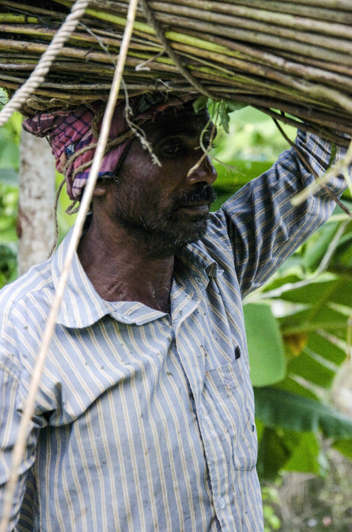 Life around us (Working People) 