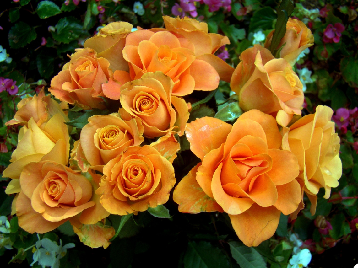 blumenstrauss,,