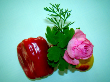 mit blume ,