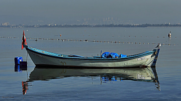 Denizde Kayıklar
