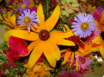 blüten,