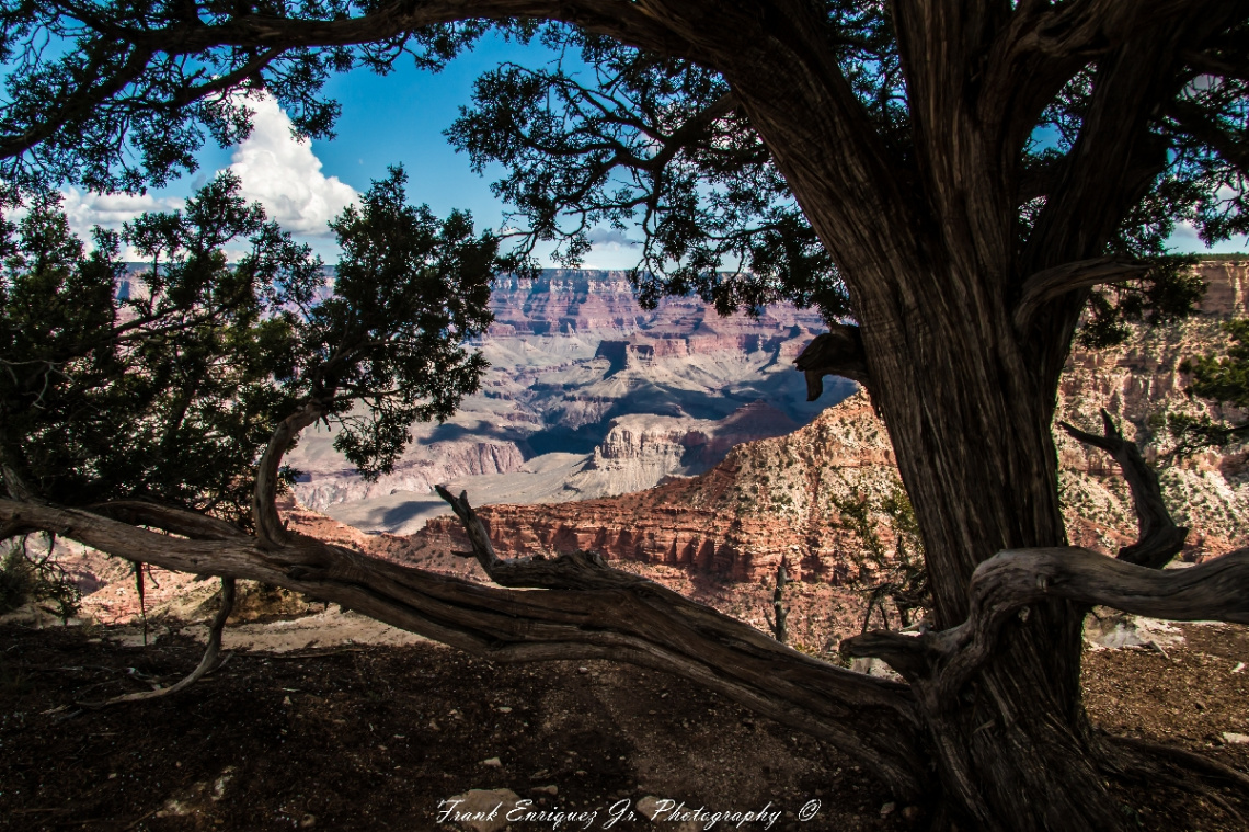 The 'Grandest of Canyons'.  10/16