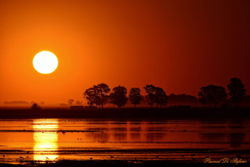 Perfect sunset