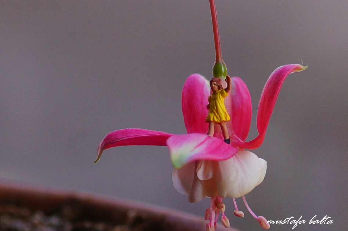 Miniciks Hayatlar  Hepicinize günaydınnn  