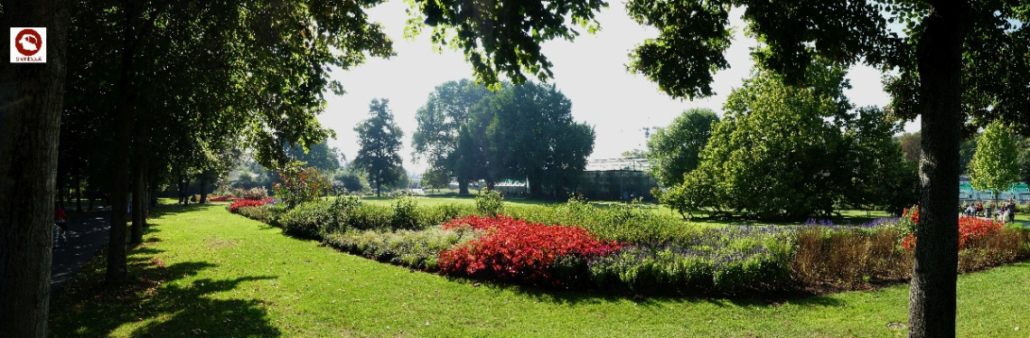 Blütenmeer