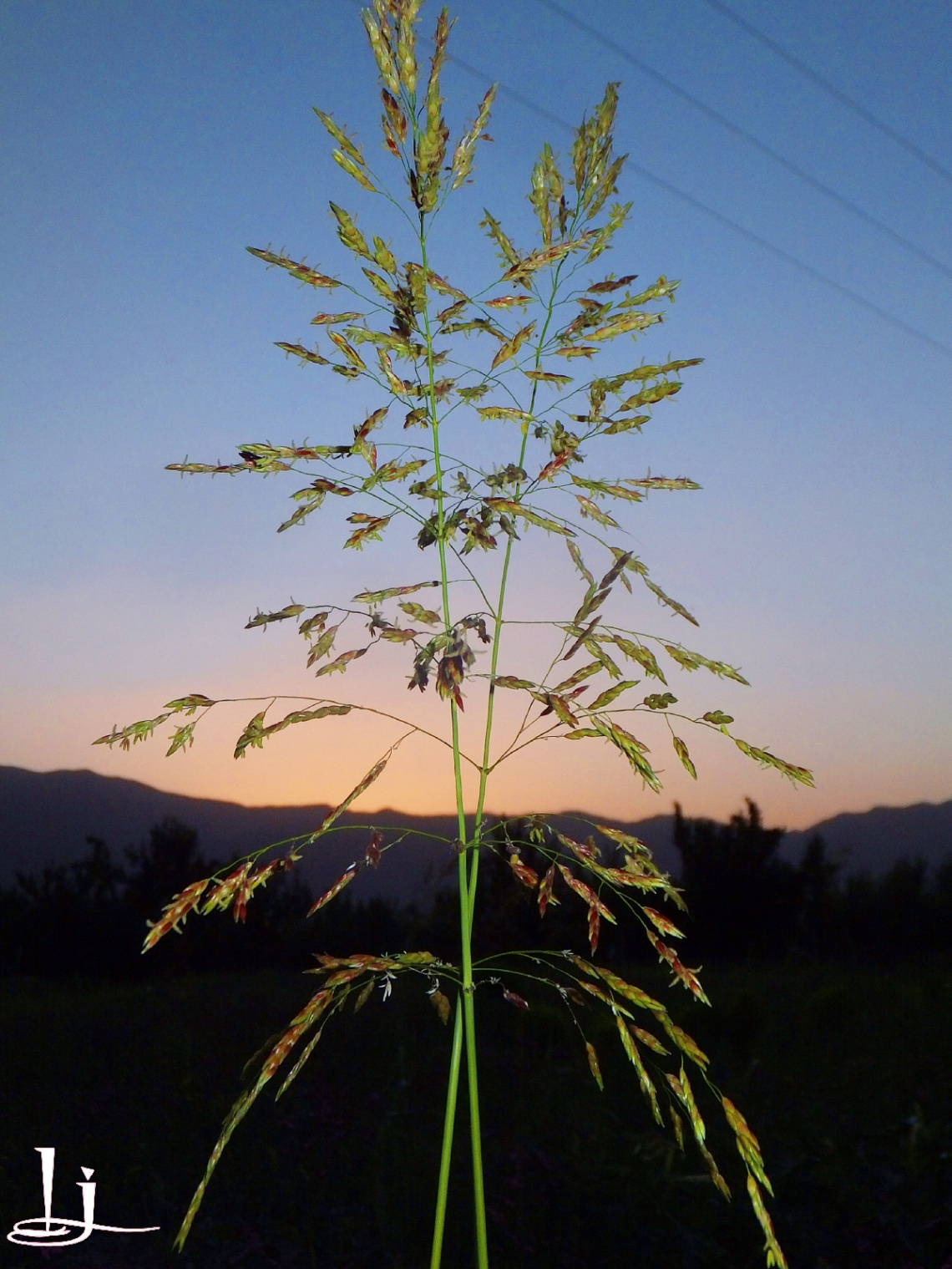 Nature=Beauty...