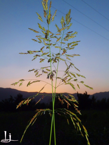 Nature=Beauty...