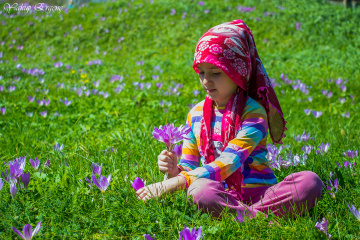 YAYLA GÜZELİ